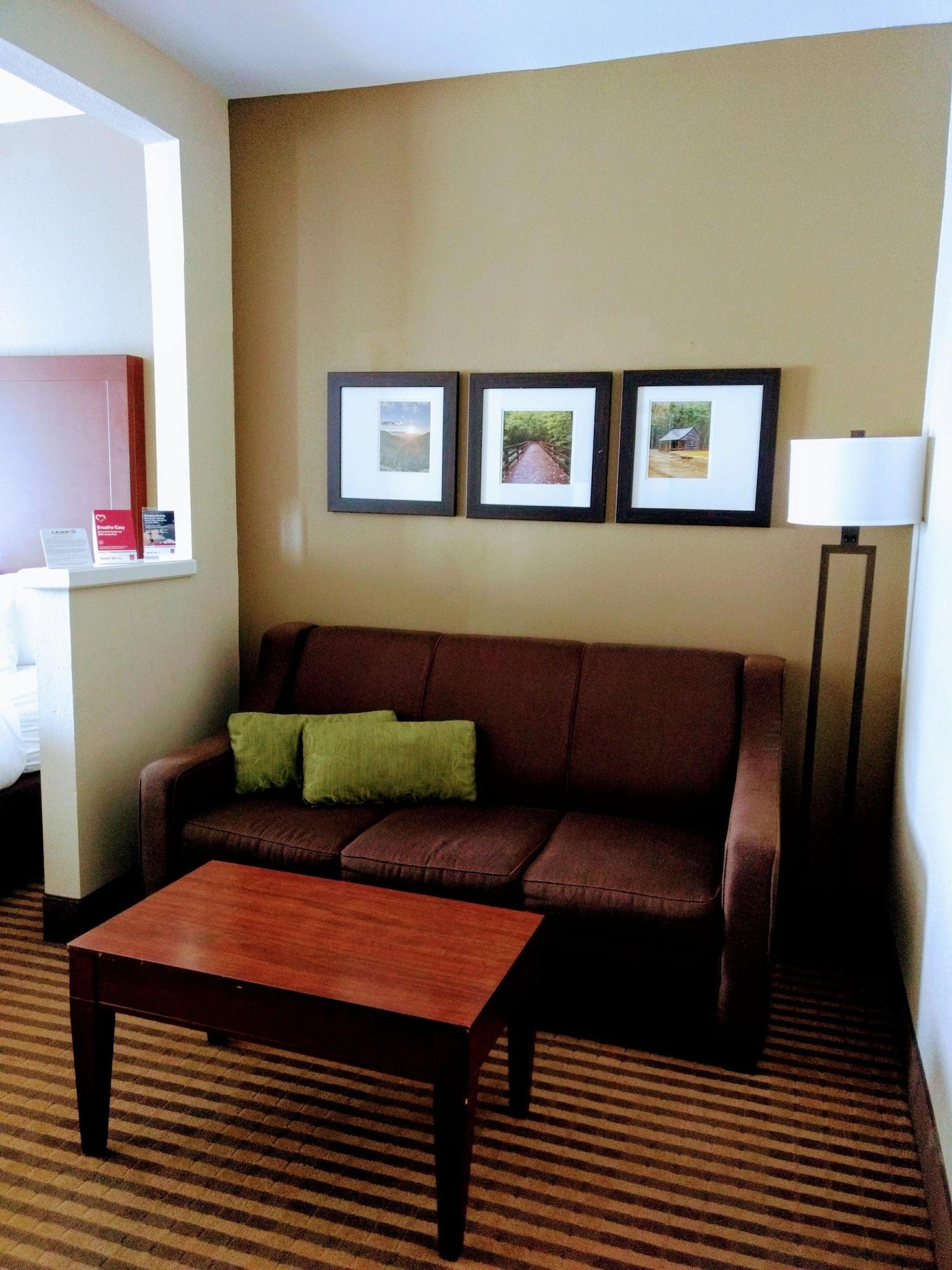 Comfort Suites Johnson City Near University Eksteriør billede