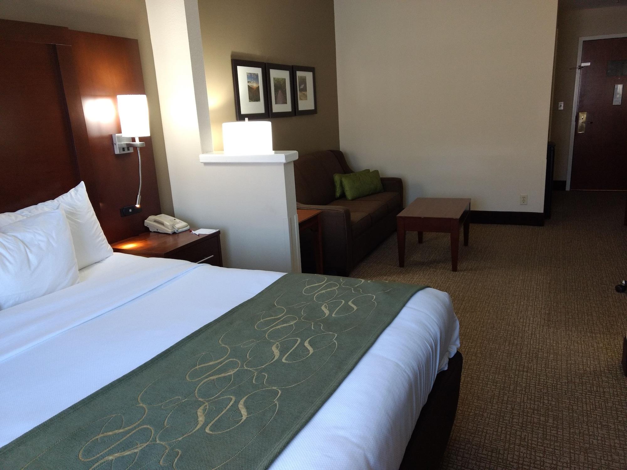Comfort Suites Johnson City Near University Eksteriør billede